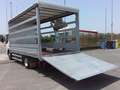 Iveco Daily 35C15 CASSONE PEDANA 10 KG SPONDA IDRAULICA Blanco - thumbnail 16