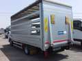 Iveco Daily 35C15 CASSONE PEDANA 10 KG SPONDA IDRAULICA Bianco - thumbnail 1