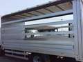 Iveco Daily 35C15 CASSONE PEDANA 10 KG SPONDA IDRAULICA Bianco - thumbnail 13