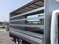 Iveco Daily 35C15 CASSONE PEDANA 10 KG SPONDA IDRAULICA Bianco - thumbnail 11