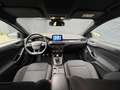 Ford Focus ST-LINE, winter pack, adapt. cc, climags control Zwart - thumbnail 15