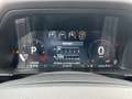 Ford Ranger Raptor Ranger Doppelkabine 3.0l V6 *360-Kamera* Weiß - thumbnail 13