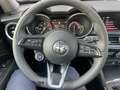Alfa Romeo Stelvio Stelvio 2.2 t Business Q4 190cv auto auto nuova Nero - thumbnail 12