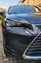 Lexus NX 300h NX I 2018 300h 2.5 Luxury 4wd cvt Чорний - thumbnail 14