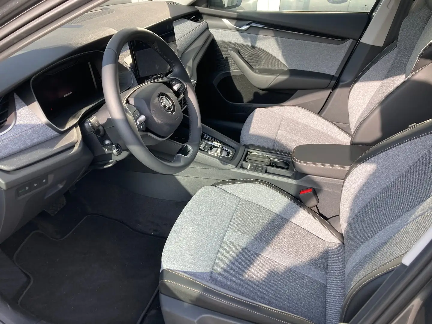Skoda Octavia Selection TDI DSG Gris - 2
