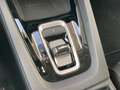 Skoda Octavia Selection TDI DSG Gris - thumbnail 9