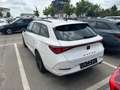 CUPRA Leon Sportstourer VZ2.0 TSI 7Gang DSG/SHZ Weiß - thumbnail 2