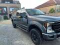 Ford F 250 Superduty Tremor Gris - thumbnail 2