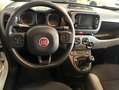Fiat Panda Base 1.0 GSE Hybrid Weiß - thumbnail 9