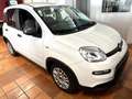 Fiat Panda Base 1.0 GSE Hybrid Weiß - thumbnail 1