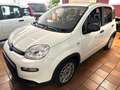 Fiat Panda Base 1.0 GSE Hybrid Weiß - thumbnail 6