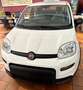 Fiat Panda Base 1.0 GSE Hybrid Weiß - thumbnail 7