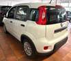 Fiat Panda Base 1.0 GSE Hybrid Weiß - thumbnail 5