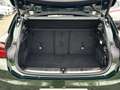 BMW X2 sDrive20i Edition Goldplay Head-Up HiFi DAB LED WL Grün - thumbnail 7