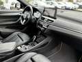 BMW X2 sDrive20i Edition Goldplay Head-Up HiFi DAB LED WL Grün - thumbnail 18
