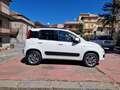 Fiat Panda Panda 1.3 mjt 16v 4x4 75cv Bianco - thumbnail 1