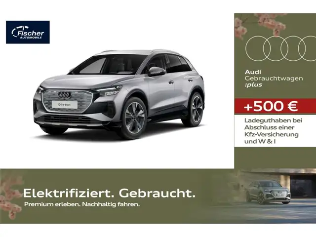 Audi Q4 e-tron 55 quattro Leder/RFK/20''/Assi-Plus