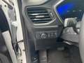 Ford Kuga Titanium ACC NAVI TWA Weiß - thumbnail 15