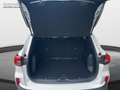 Ford Kuga Titanium ACC NAVI TWA Weiß - thumbnail 7