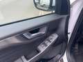 Ford Kuga Titanium ACC NAVI TWA Weiß - thumbnail 14