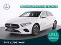 Mercedes-Benz A 220 4M Progressive+MBUX+LED-HP+Totw+RFK+KeyGo+ Weiß - thumbnail 1