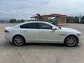 Jaguar XF XF 3.0TDV6 Prestige Aut. Prestige Blanco - thumbnail 6