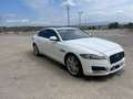 Jaguar XF XF 3.0TDV6 Prestige Aut. Prestige Blanco - thumbnail 2