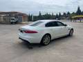 Jaguar XF XF 3.0TDV6 Prestige Aut. Prestige Blanco - thumbnail 3
