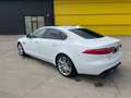 Jaguar XF XF 3.0TDV6 Prestige Aut. Prestige Blanco - thumbnail 4