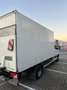 Mercedes-Benz Sprinter Mecedes-Benz Sprinter Koffer LBW 513 CDI Biały - thumbnail 3