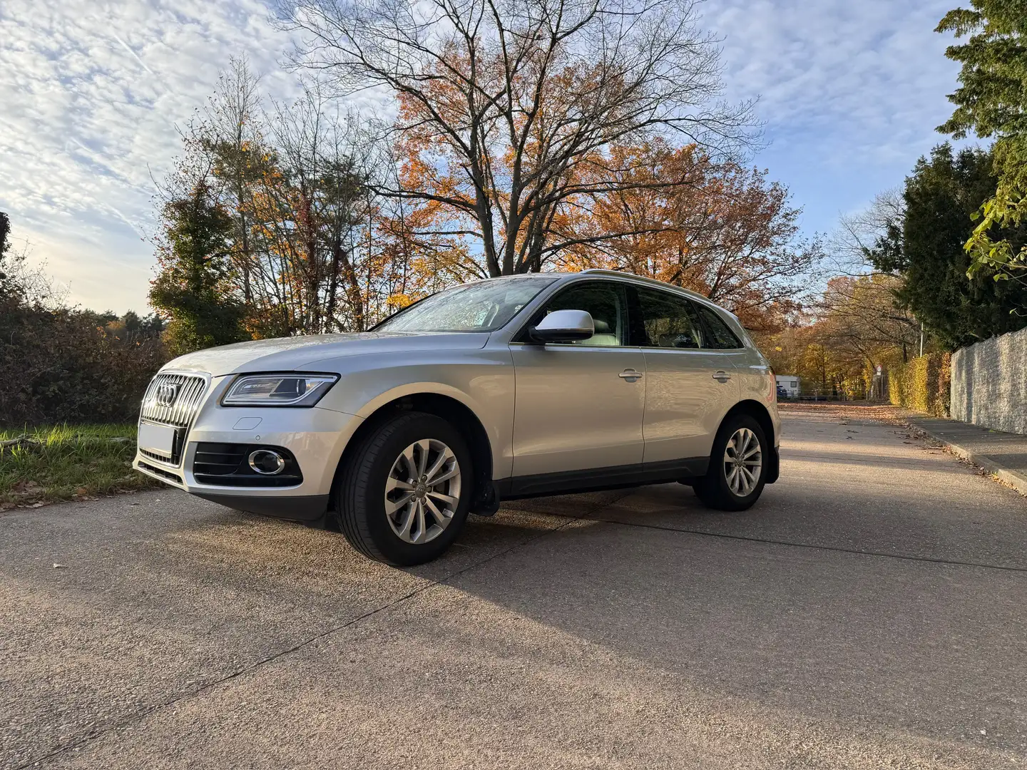 Audi Q5 3.0 TDI 180 kW quattro Grau - 1