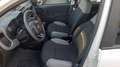 Fiat Panda 1.0  hybrid  km17000 Bianco - thumbnail 10
