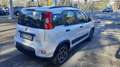Fiat Panda 1.0  hybrid  km17000 Bianco - thumbnail 5