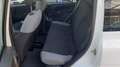 Fiat Panda 1.0  hybrid  km17000 Bianco - thumbnail 11