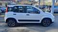 Fiat Panda 1.0  hybrid  km17000 Bianco - thumbnail 6