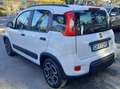 Fiat Panda 1.0  hybrid  km17000 Bianco - thumbnail 3