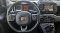 Fiat Panda 1.0  hybrid  km17000 Bianco - thumbnail 12