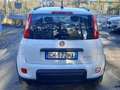 Fiat Panda 1.0  hybrid  km17000 Bianco - thumbnail 4