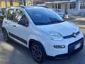 Fiat Panda 1.0  hybrid  km17000 Bianco - thumbnail 7