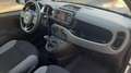Fiat Panda 1.0  hybrid  km17000 Bianco - thumbnail 13