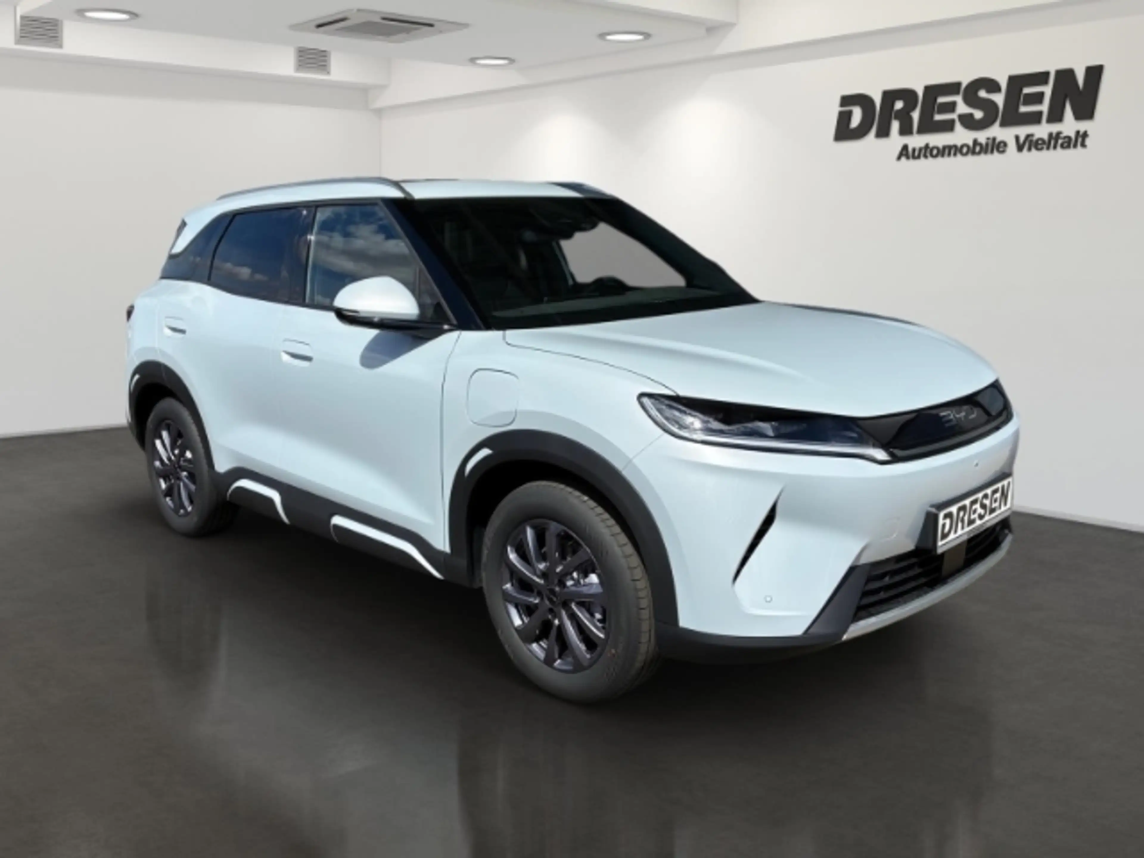 BYD Atto 2 DM-i 1.5 Boost Apple CarPlay Rückfahrkamera Sitzhe — photo 2