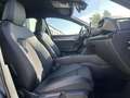 CUPRA Leon SP 2.0 TDI DSG 185€ m. 20% Anzahlung AHK DAB Nav Grau - thumbnail 13