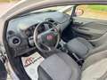 Fiat Punto PUNTO STREET GPL 1.2 69CV Grau - thumbnail 9