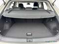 Volkswagen T-Roc MOVE 1.5 TSI DSG 150PS Grau - thumbnail 13