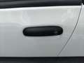 Fiat Panda Panda III 2021 Cross Panda 1.0 firefly hybrid Cro Bianco - thumbnail 9