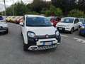 Fiat Panda Panda III 2021 Cross Panda 1.0 firefly hybrid Cro Bianco - thumbnail 7
