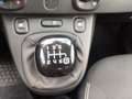 Fiat Panda Panda III 2021 Cross Panda 1.0 firefly hybrid Cro Bianco - thumbnail 19