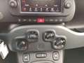 Fiat Panda Panda III 2021 Cross Panda 1.0 firefly hybrid Cro Bianco - thumbnail 18