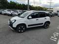 Fiat Panda Panda III 2021 Cross Panda 1.0 firefly hybrid Cro Bianco - thumbnail 8