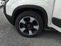 Fiat Panda Panda III 2021 Cross Panda 1.0 firefly hybrid Cro Bianco - thumbnail 21